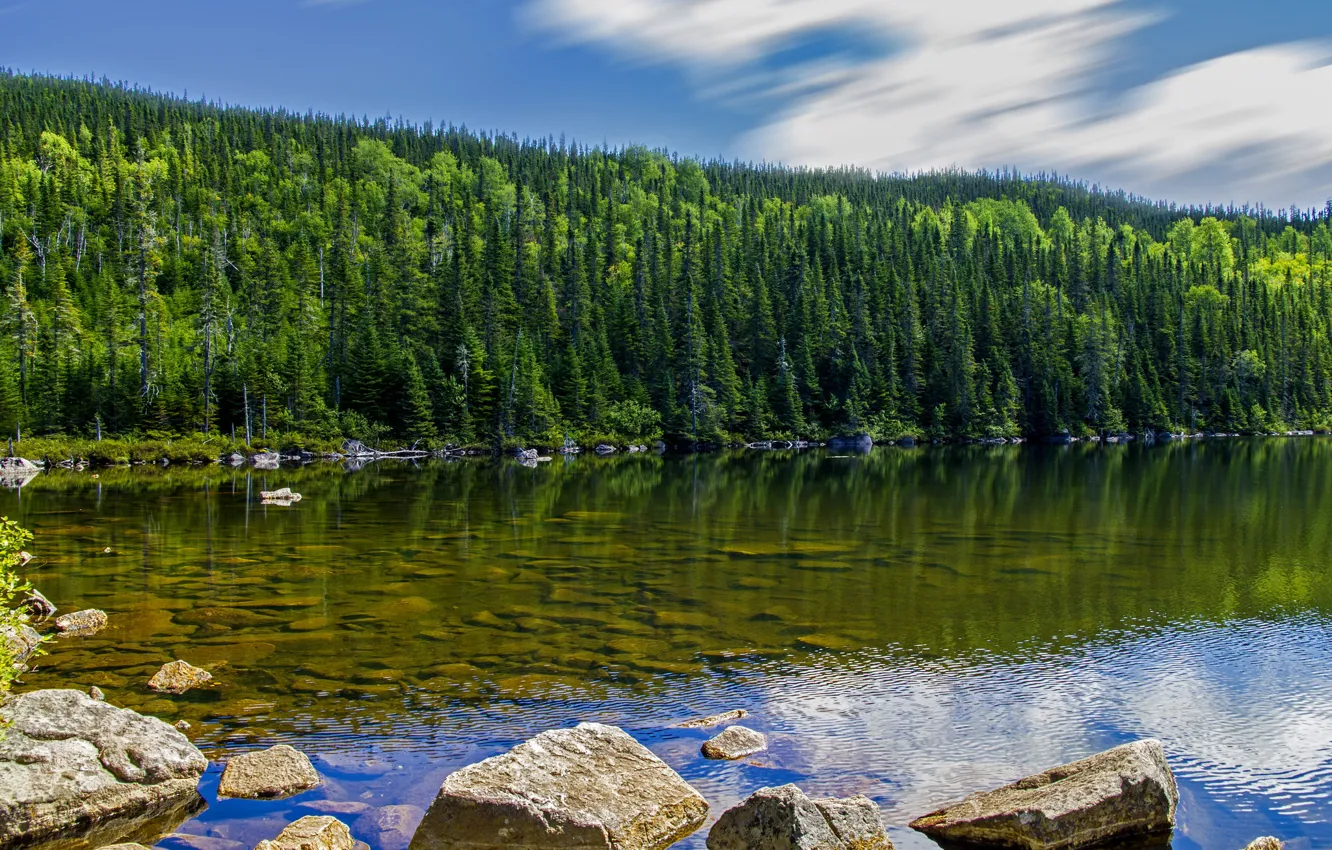 Photo wallpaper forest, the sky, water, clouds, trees, lake, stones