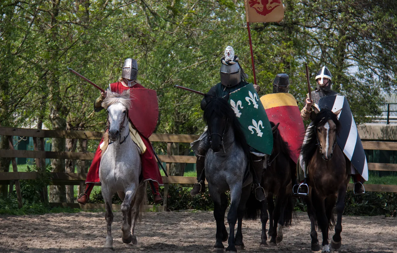 Photo wallpaper horses, armor, horse, warriors, knights