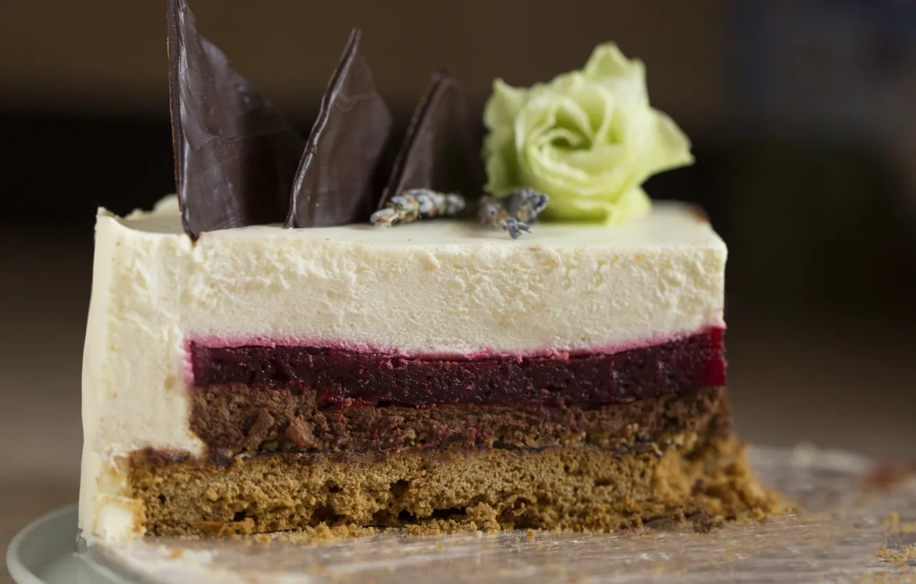 Photo wallpaper rose, chocolate, cake, layers, dessert, piece