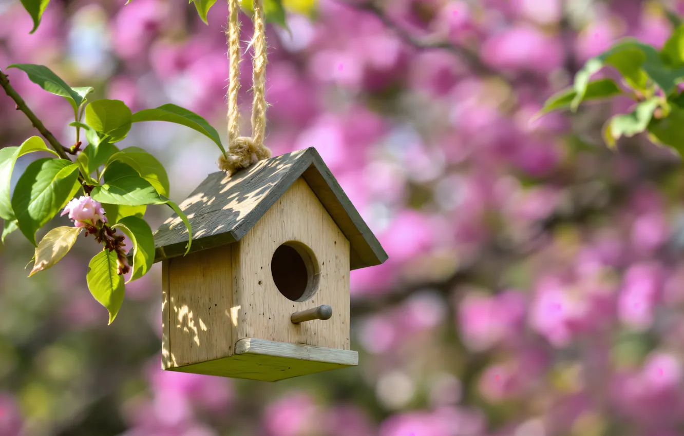 Photo wallpaper flowers, spring, birdhouse, flowering, pink, blossom, flowers, spring