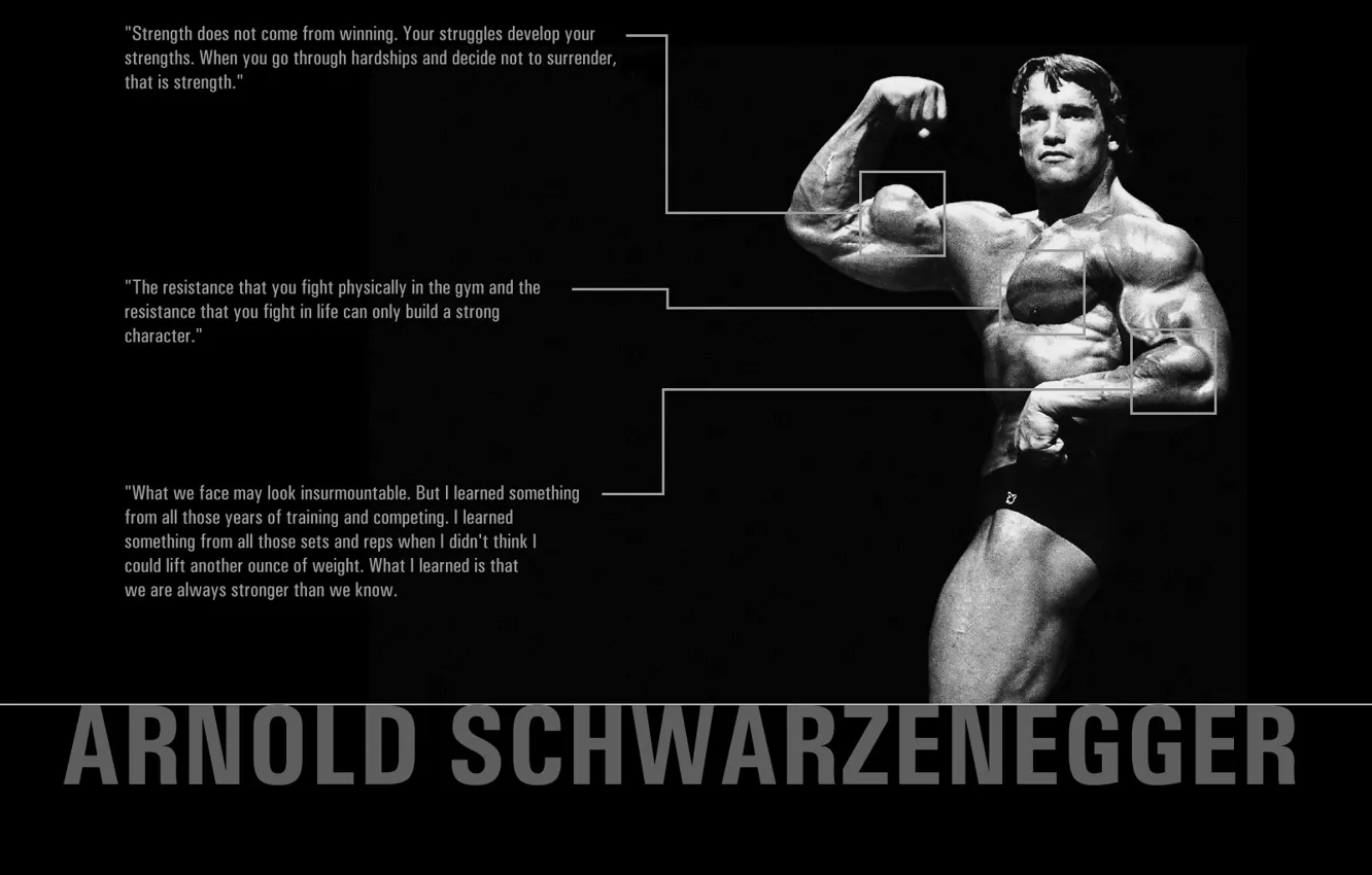 Photo wallpaper power, body, muscle, quotes, Arnold, Schwarzenegger