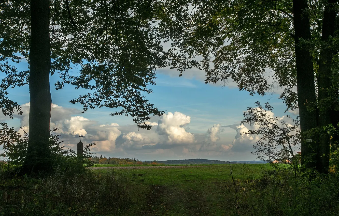 Photo wallpaper the sky, grass, clouds, trees, branches, view, Germany, Bayern