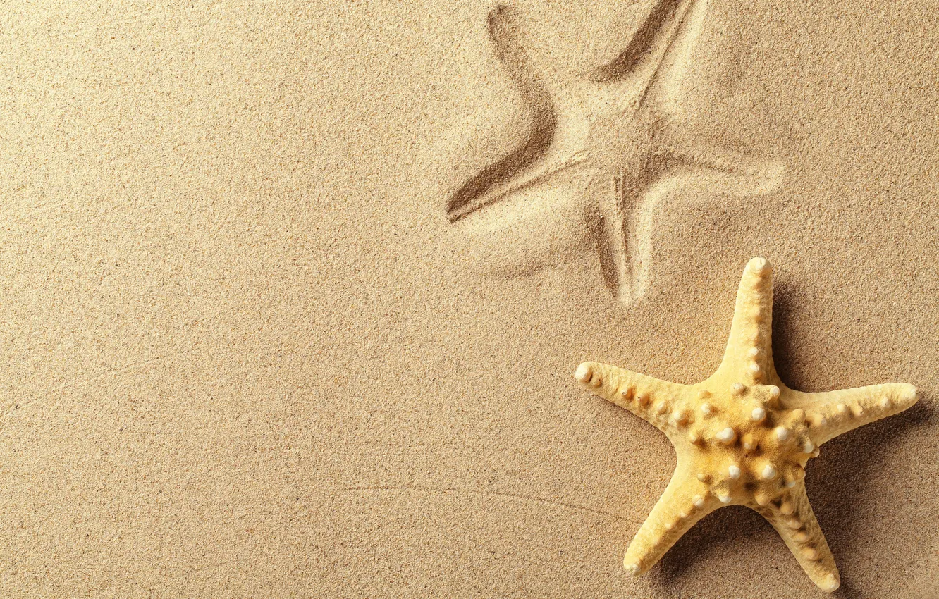 Photo wallpaper sand, trail, starfish