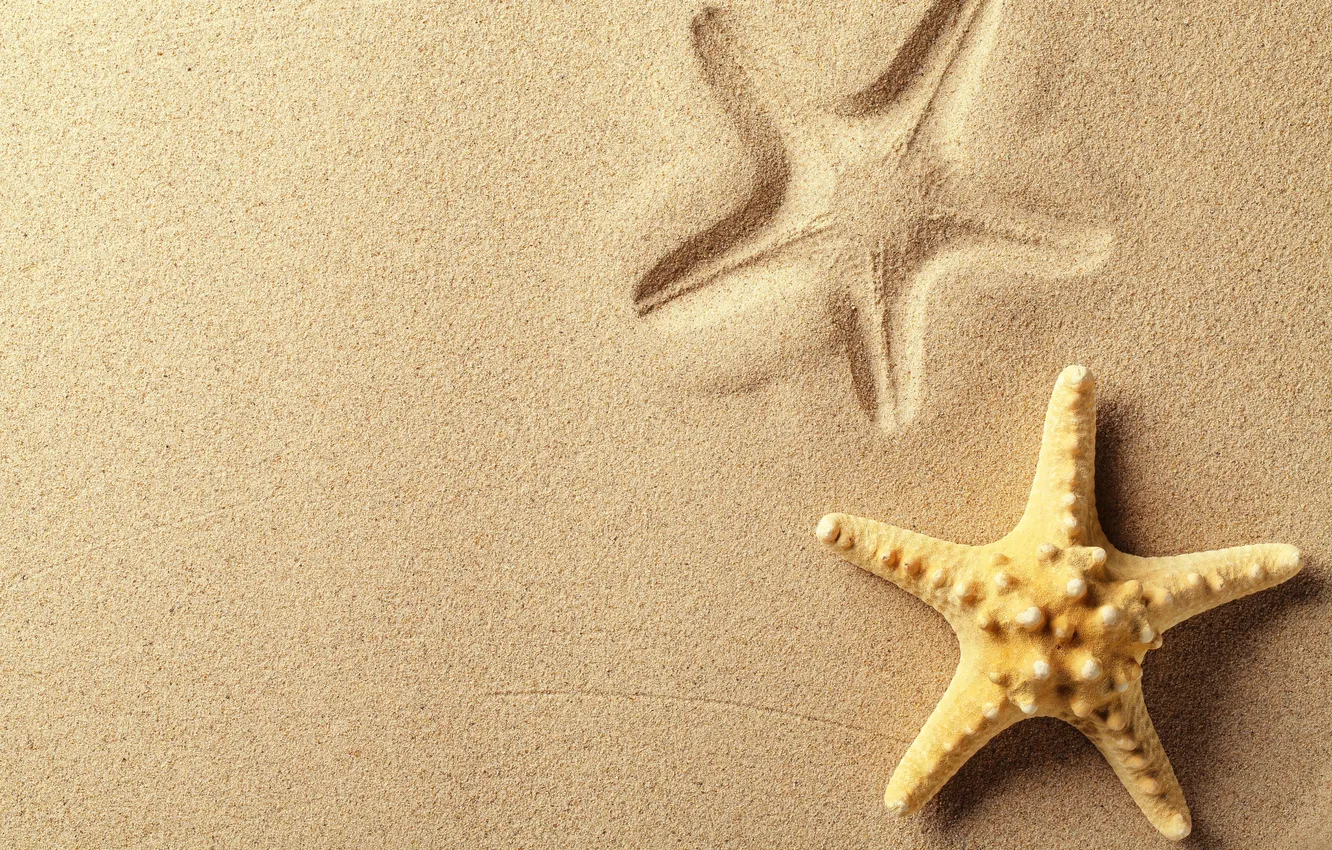 Photo wallpaper sand, traces, starfish