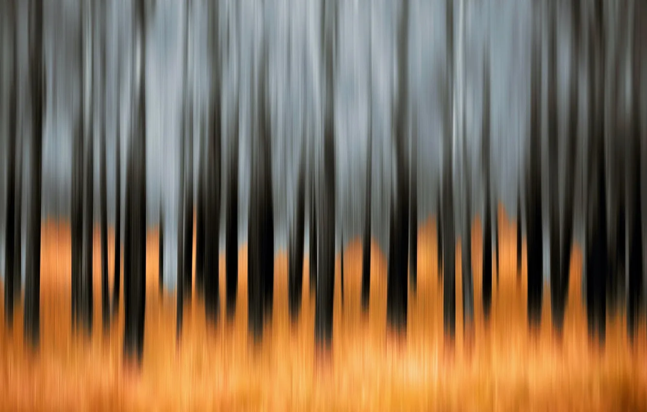 Photo wallpaper nature, style, color