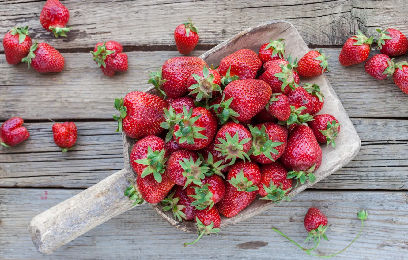 Photo wallpaper berries, strawberry, fresh, strawberry, berries