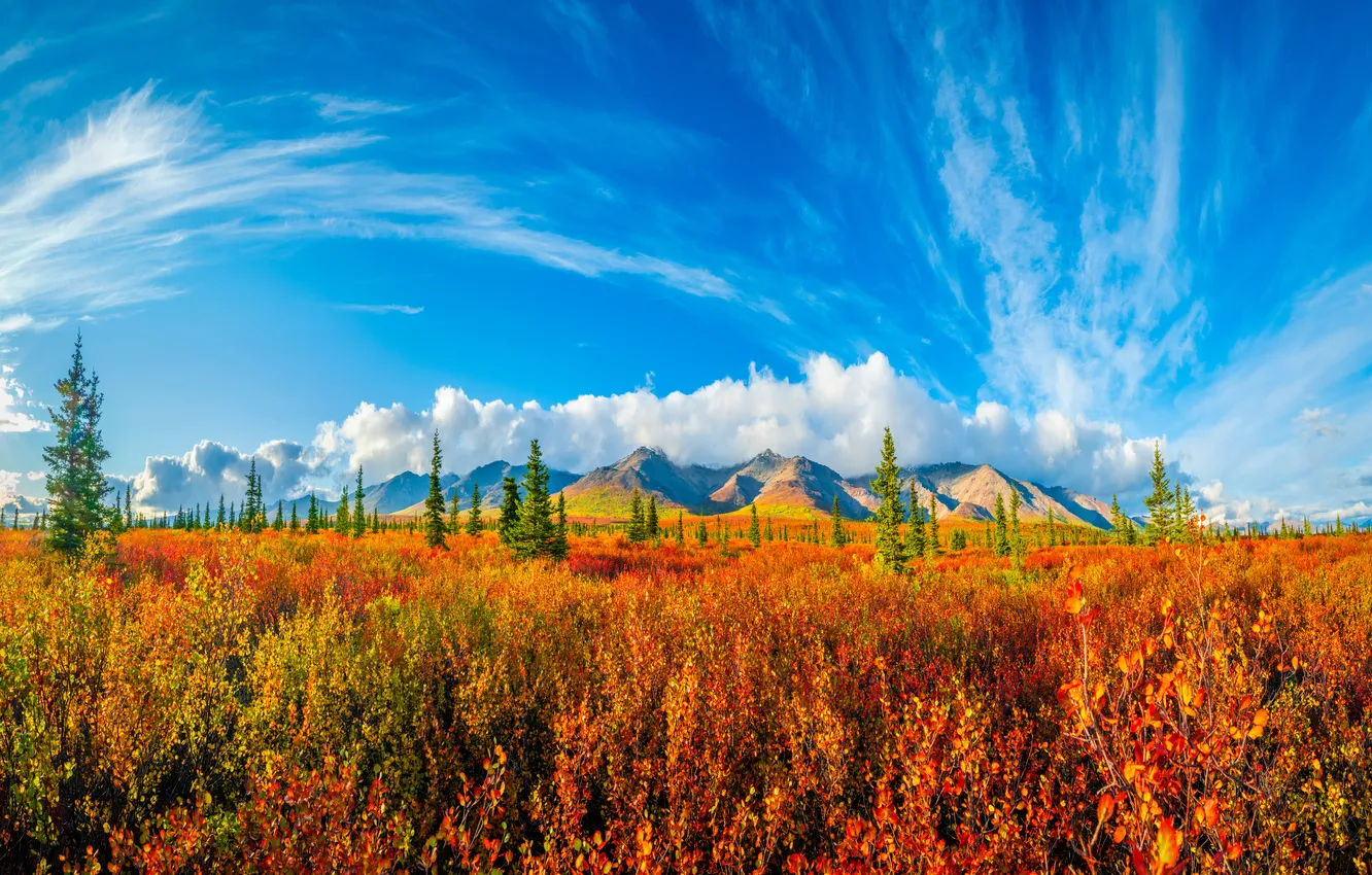 Photo wallpaper autumn, clouds, mountains, Alaska, USA, parks, Denali