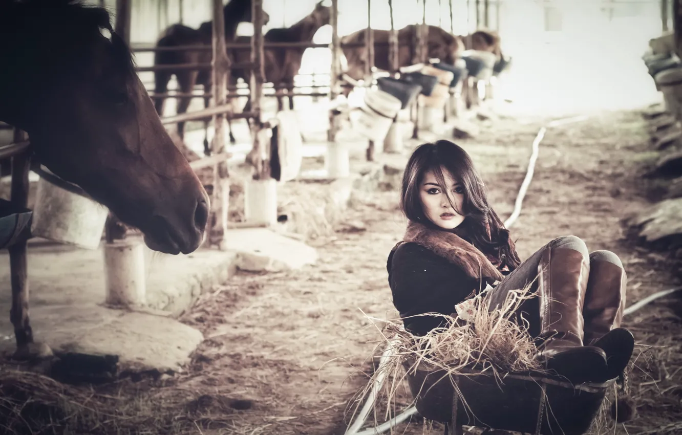 Photo wallpaper girl, horse, the situation
