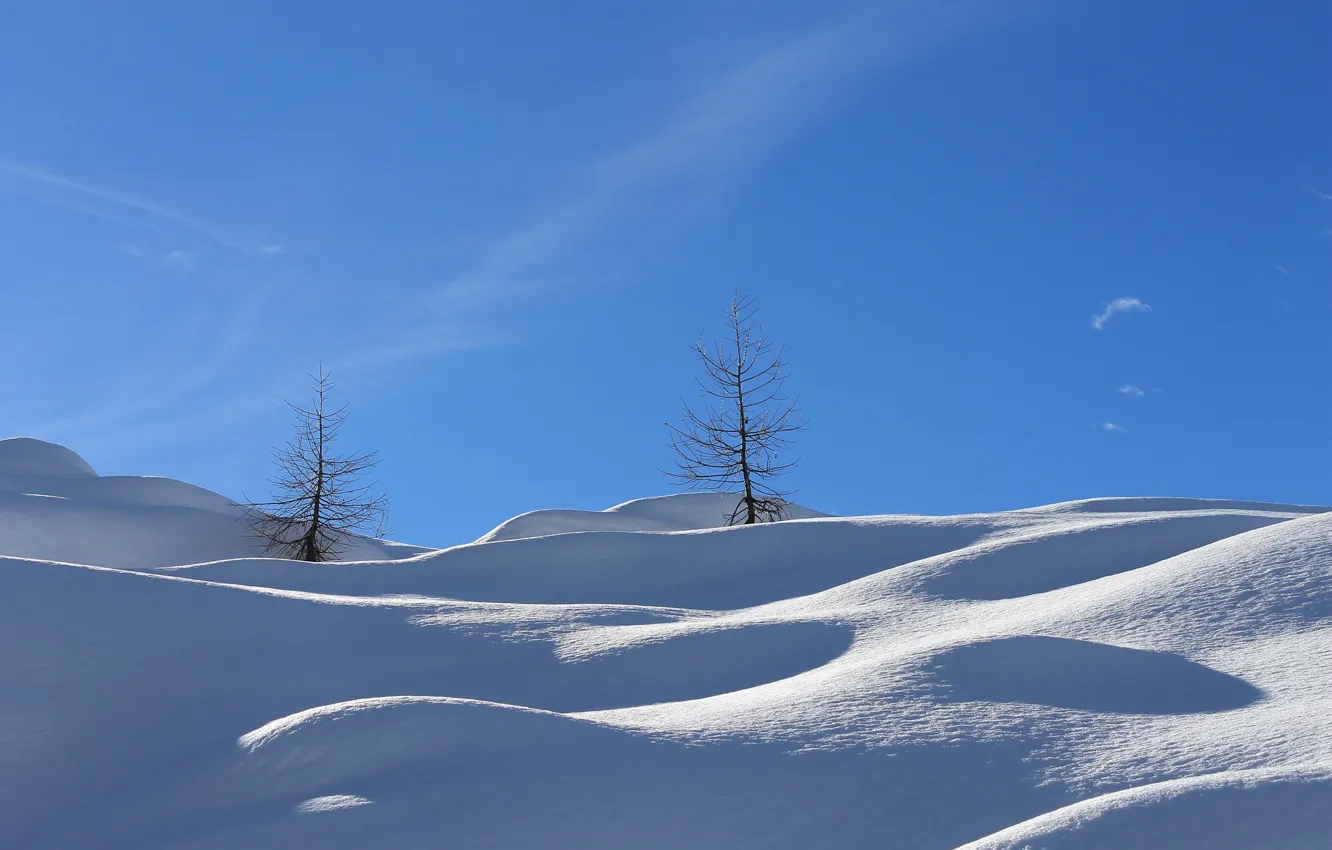 Photo wallpaper winter, the sky, snow, hills, slope, tree