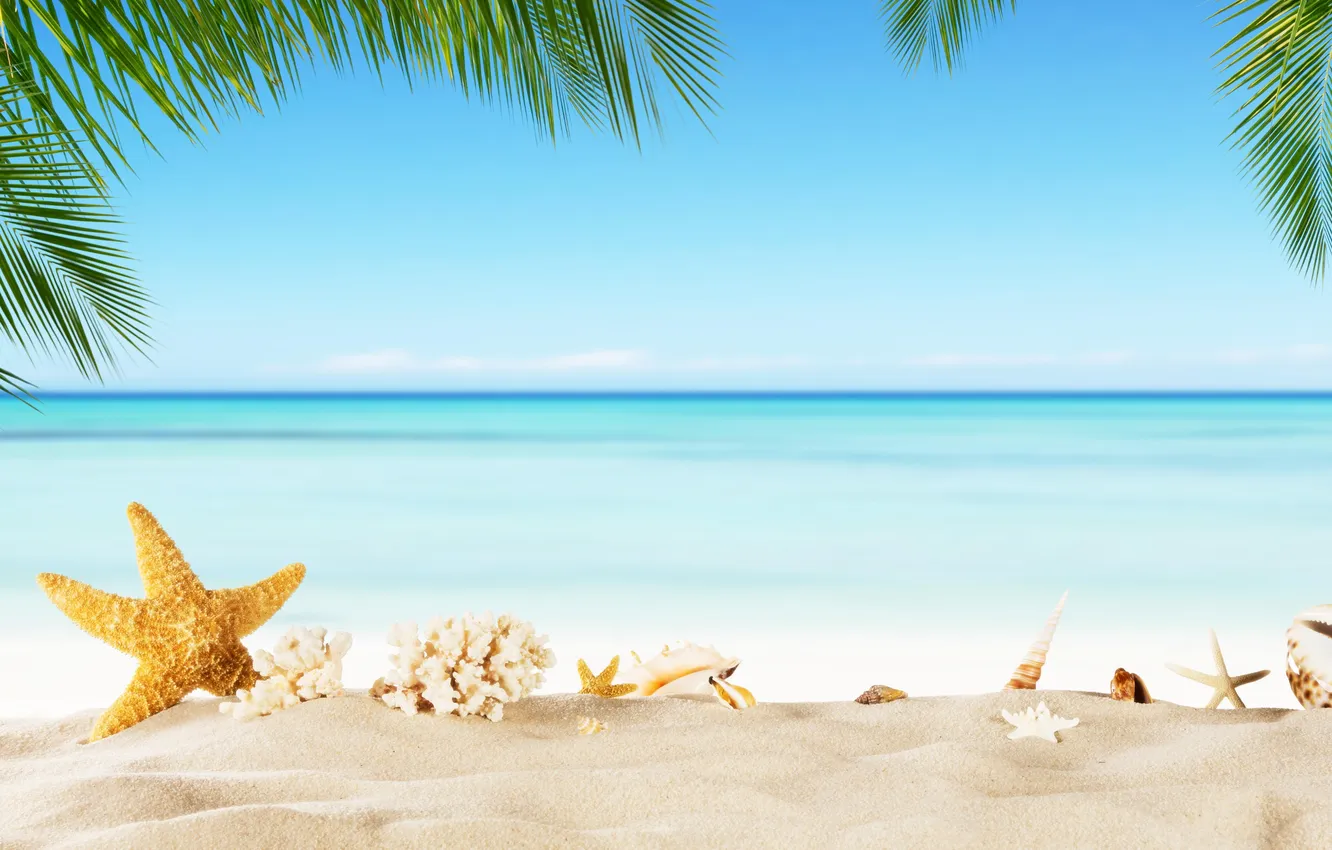 Photo wallpaper sand, sea, wave, beach, summer, the sky, stars, palm trees