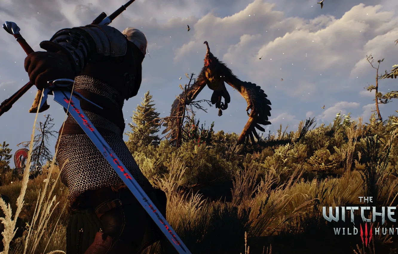 Photo wallpaper The Witcher, Geralt of Rivia, The Witcher 3: Wild Hunt, korolik