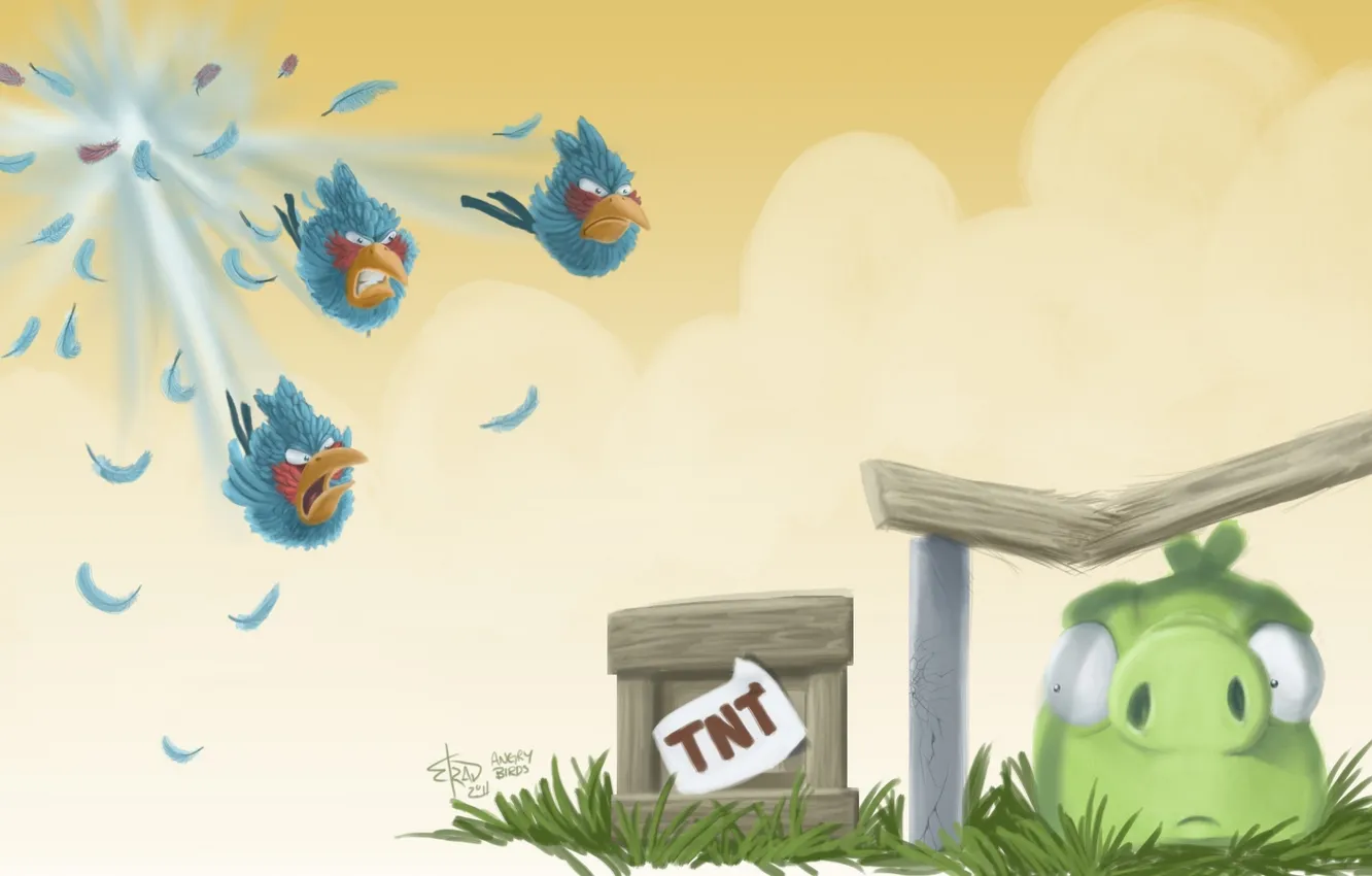 Photo wallpaper pig, game, Jake, Angry Birds, Jay, TNT, Jim, Bluebirds