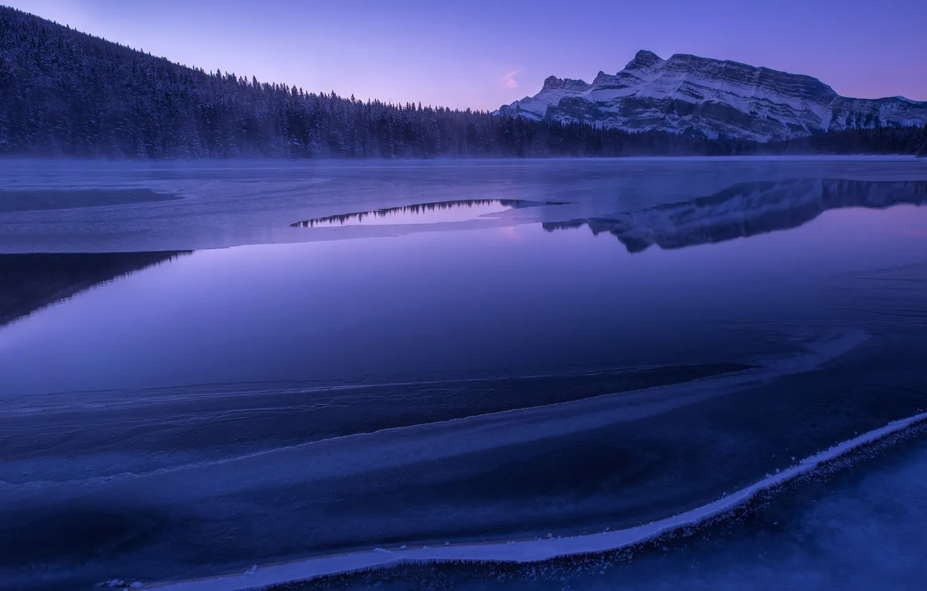 Photo wallpaper ice, forest, winter, mountain, lake, morning