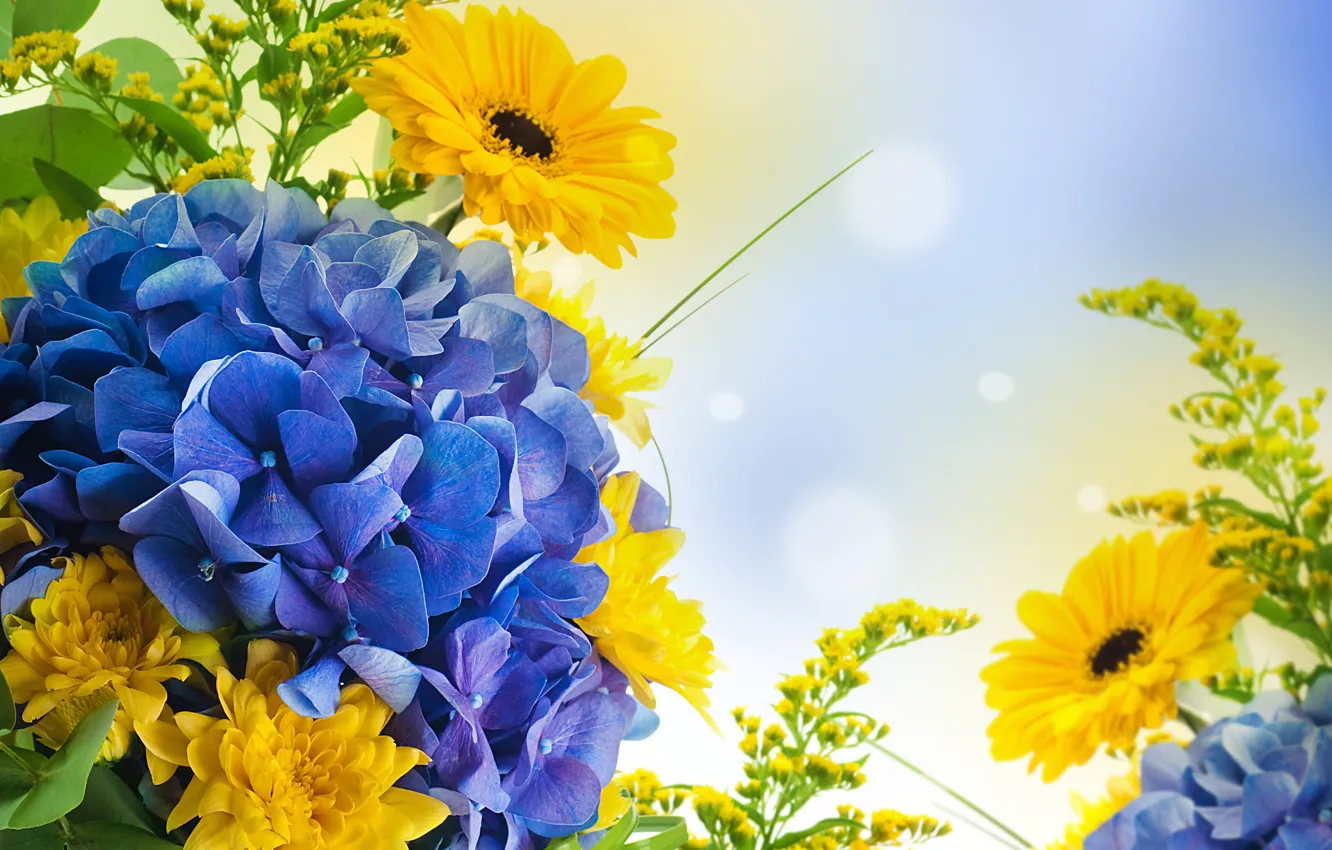 Photo wallpaper the sky, flowers, yellow, nature, bright