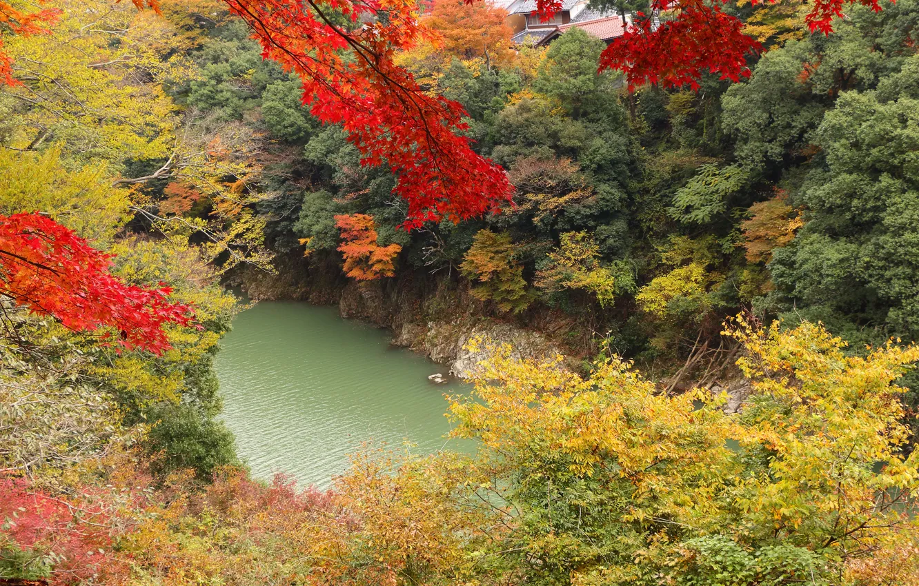 Photo wallpaper autumn, leaves, trees, lake, slope