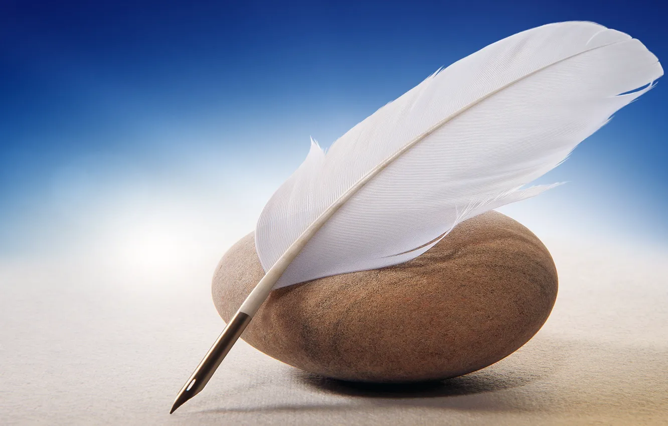 Photo wallpaper white, stones, feathers