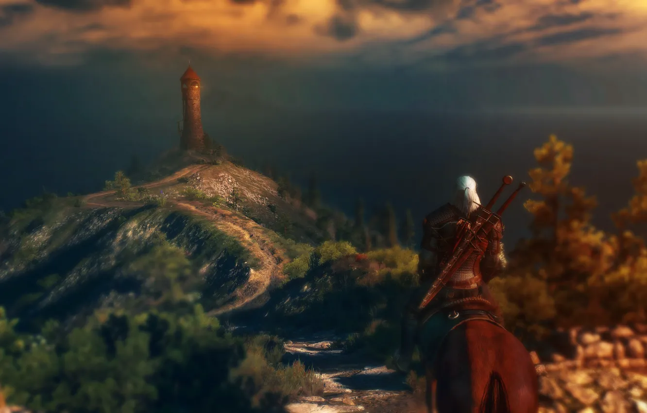 Photo wallpaper game, Witcher, The Witcher 3: Wild Hunt
