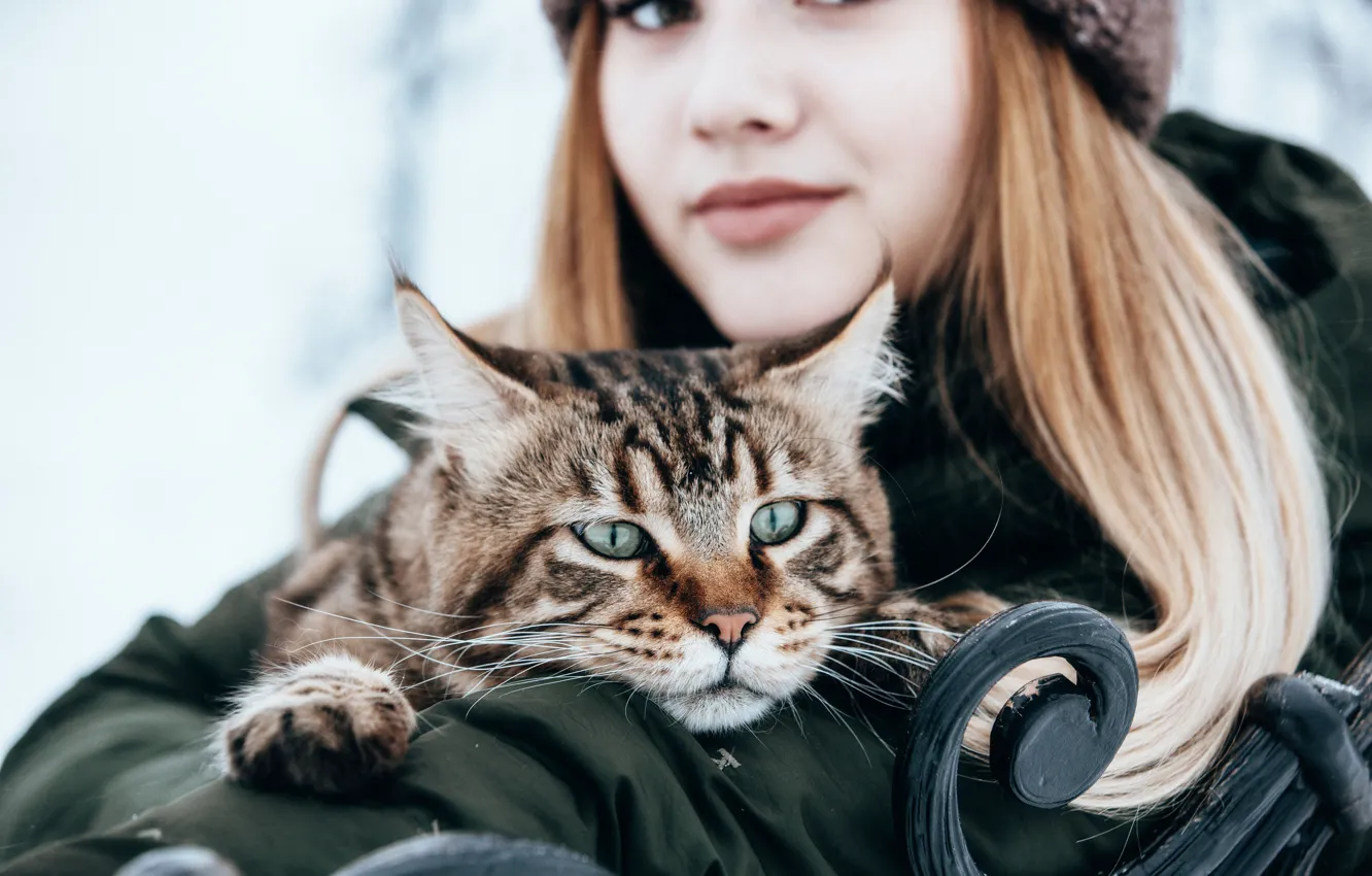 Photo wallpaper cat, cat, girl, mood, muzzle, Anastasia Golubeva
