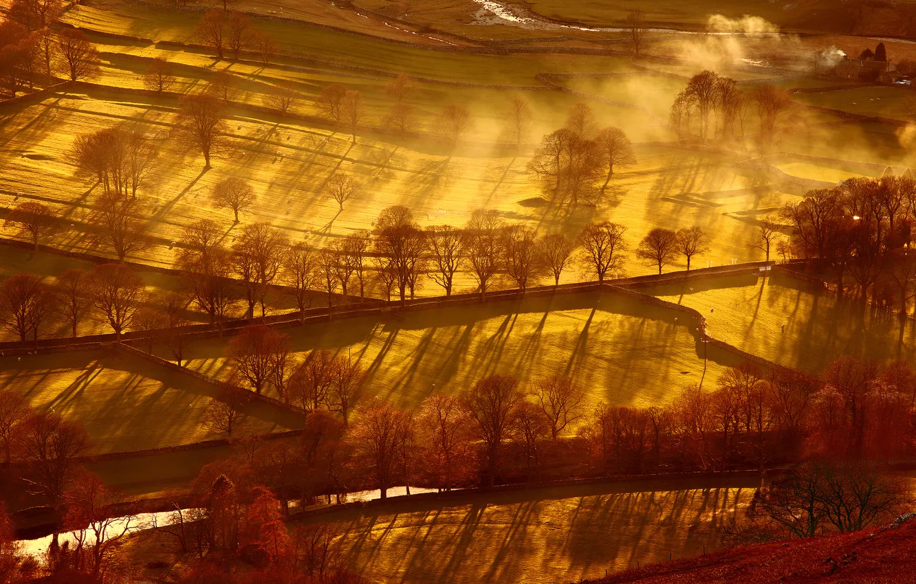 Photo wallpaper field, trees, fog, river, the evening