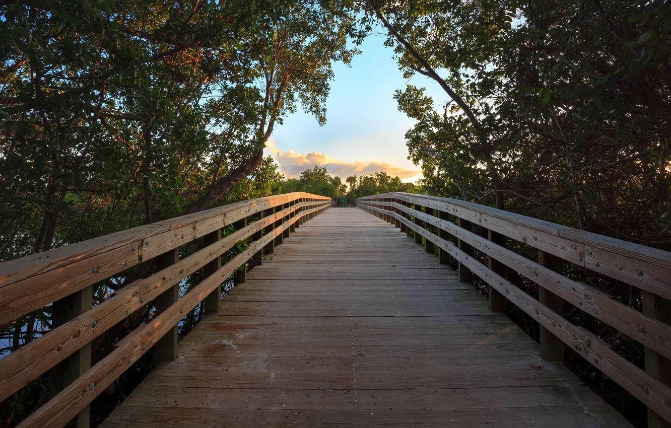 Photo wallpaper landscape, bridge, river