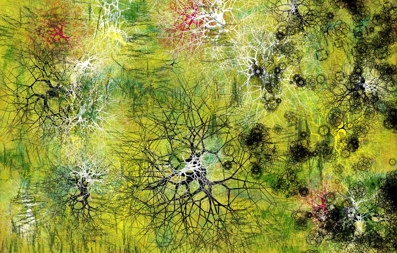 Photo wallpaper abstraction, color, form