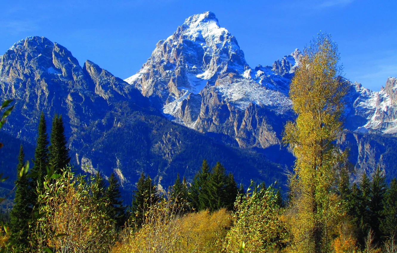 Photo wallpaper Wyoming, the sky, mountains, trees, autumn, USA, Grand Teton National Park