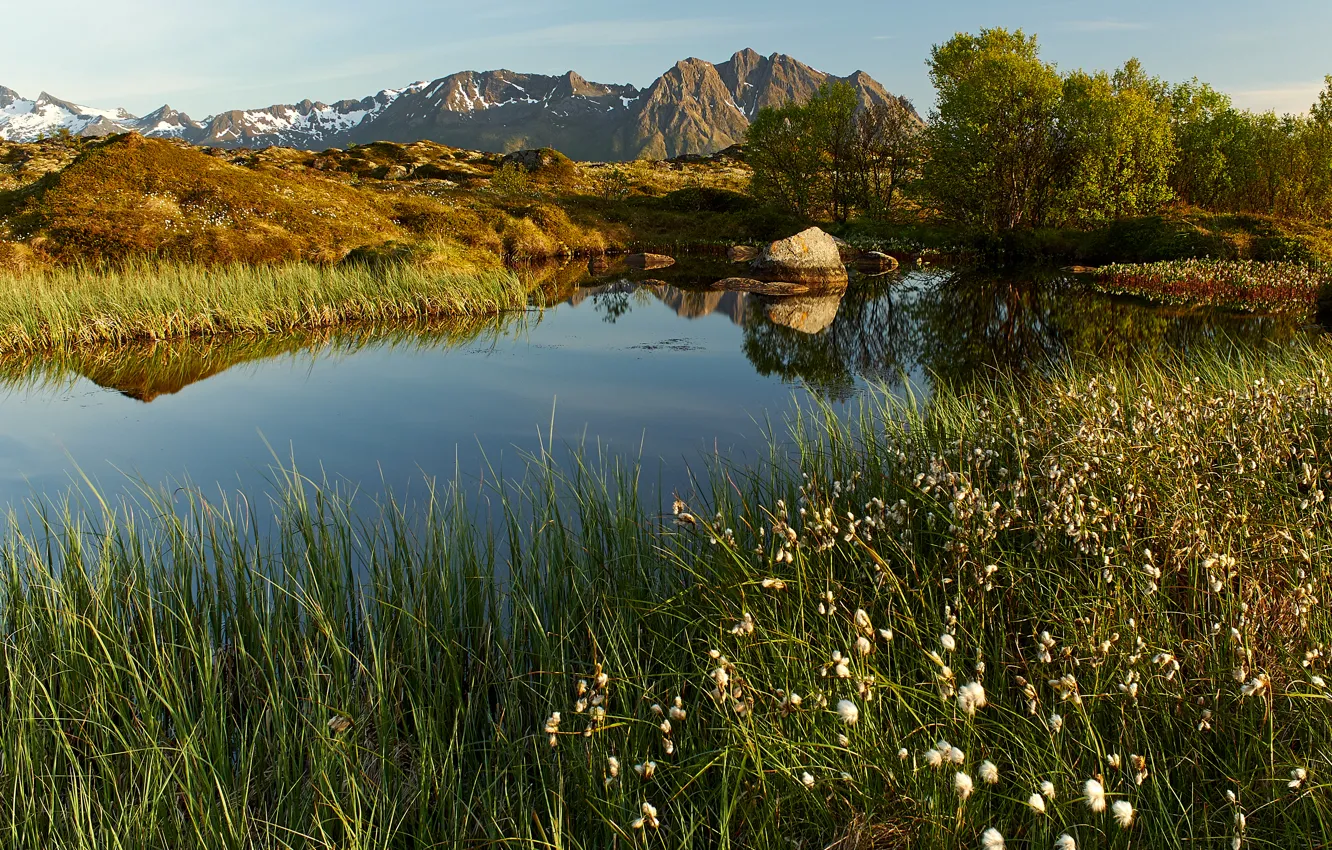 Photo wallpaper mountains, lake, the reeds, stones, Norway, Sunny, the bushes, Lofoten