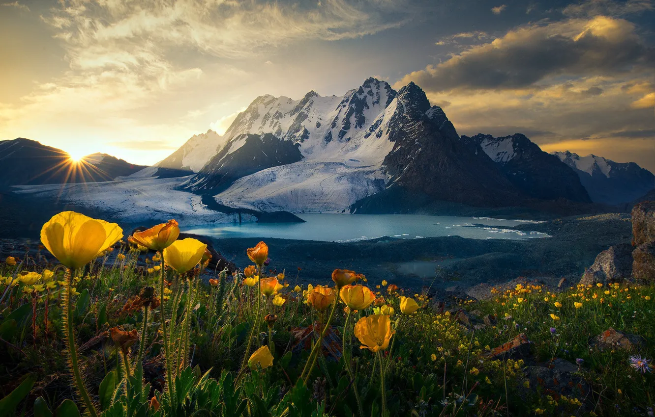 Photo wallpaper grass, the sun, rays, snow, landscape, flowers, mountains, nature