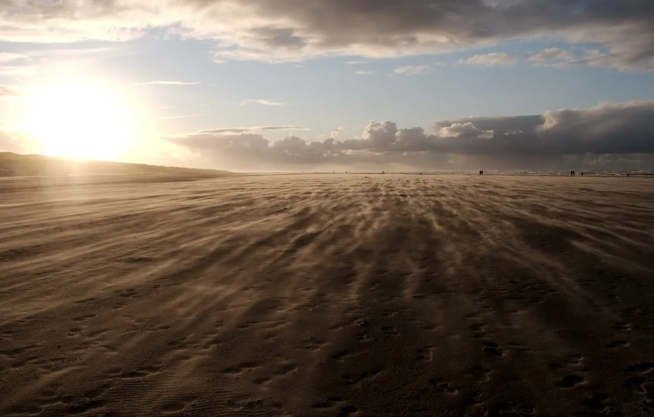 Photo wallpaper nature, sunset, could