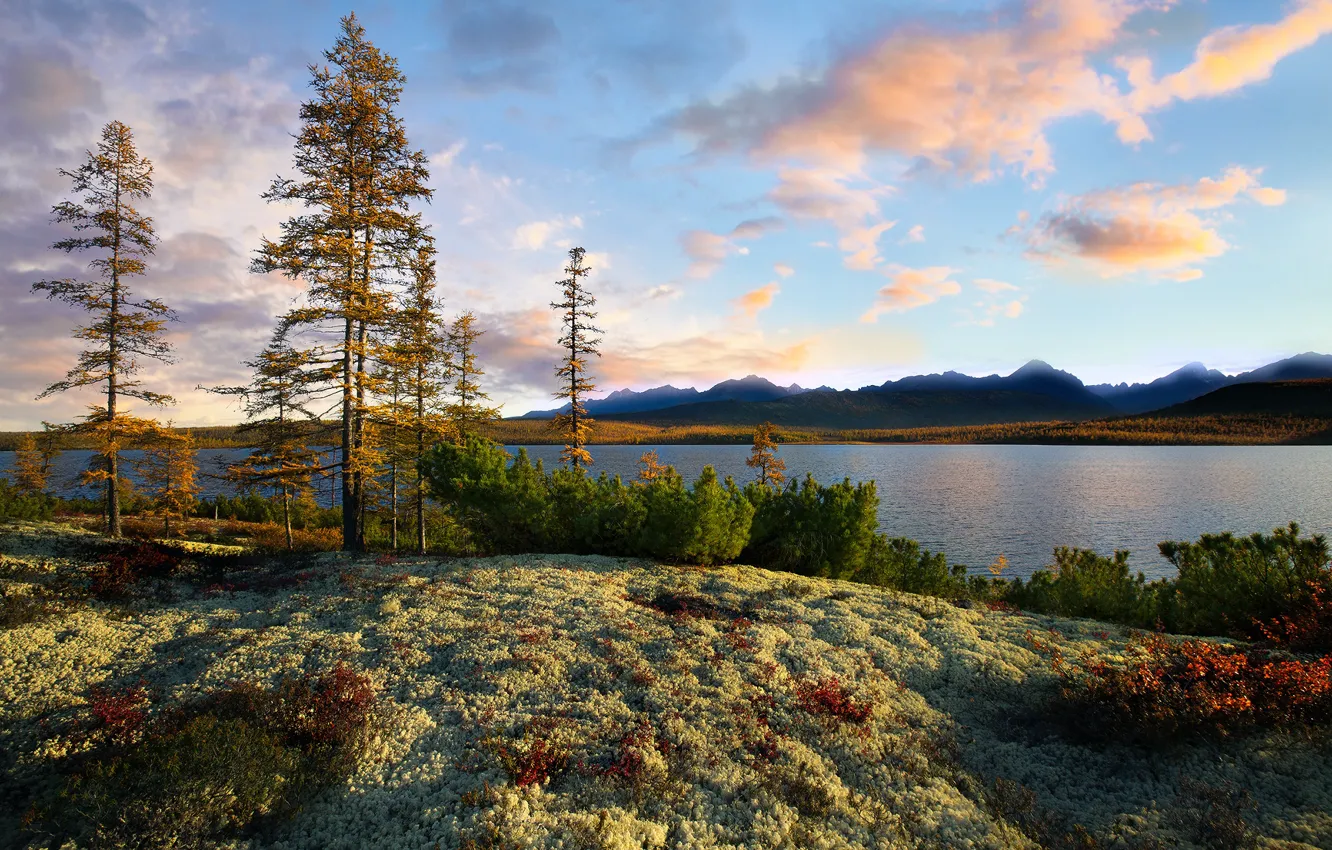 Photo wallpaper the sky, clouds, trees, lake, evening