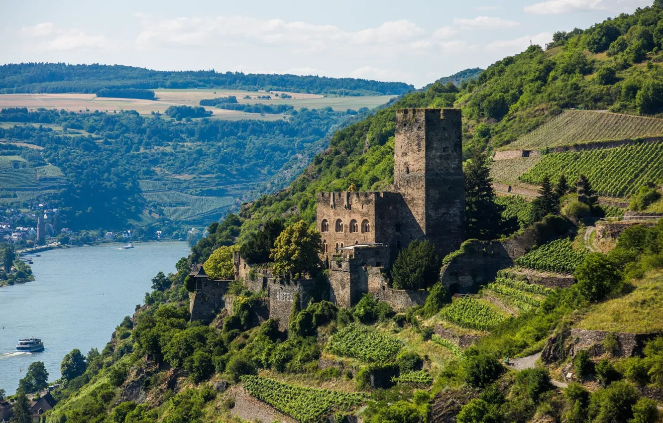 Photo wallpaper river, castle, Germany, Rhine, Gutenfels, Castle Rock