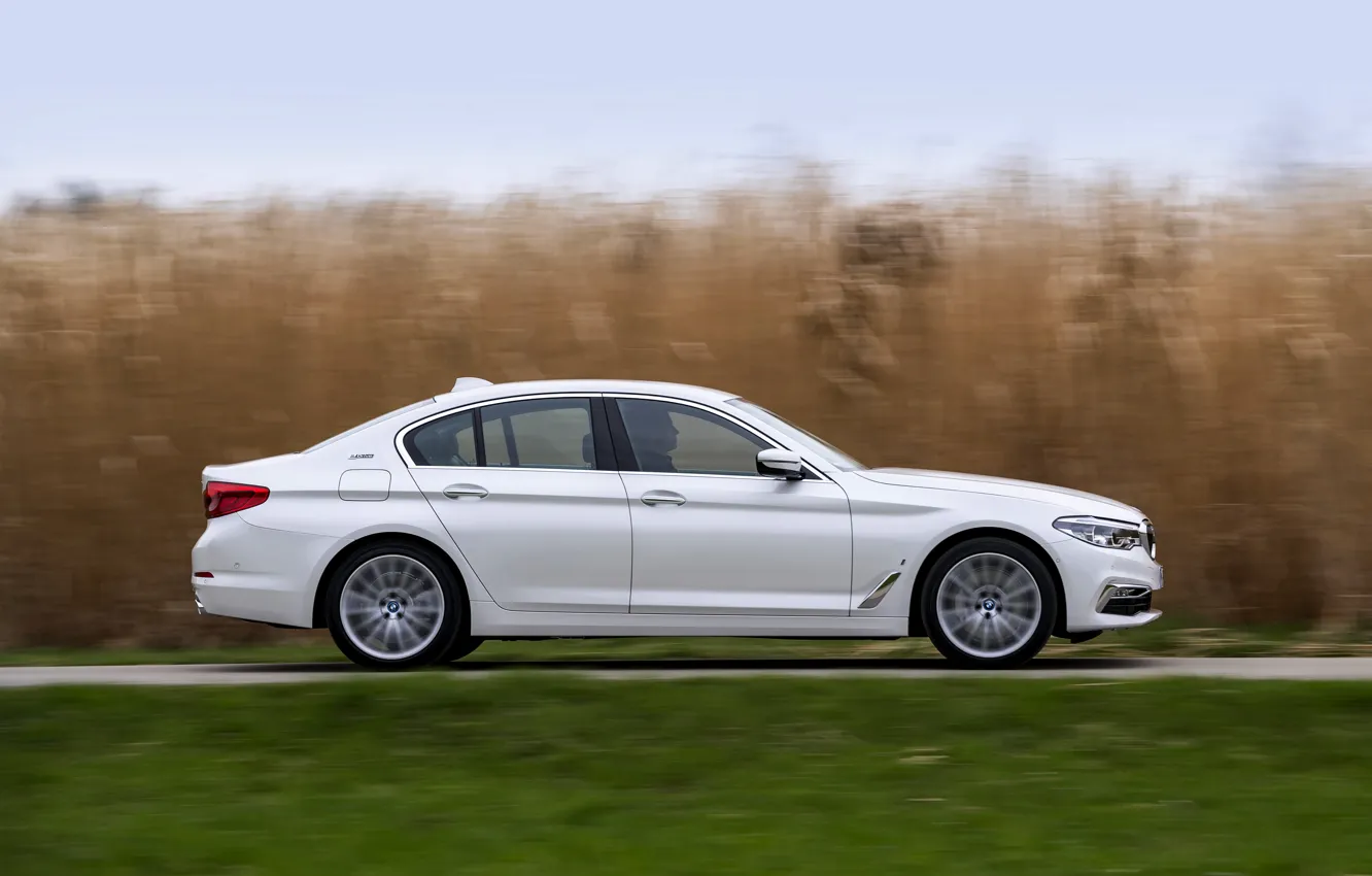 Photo wallpaper white, lawn, BMW, profile, sedan, hybrid, 5, four-door