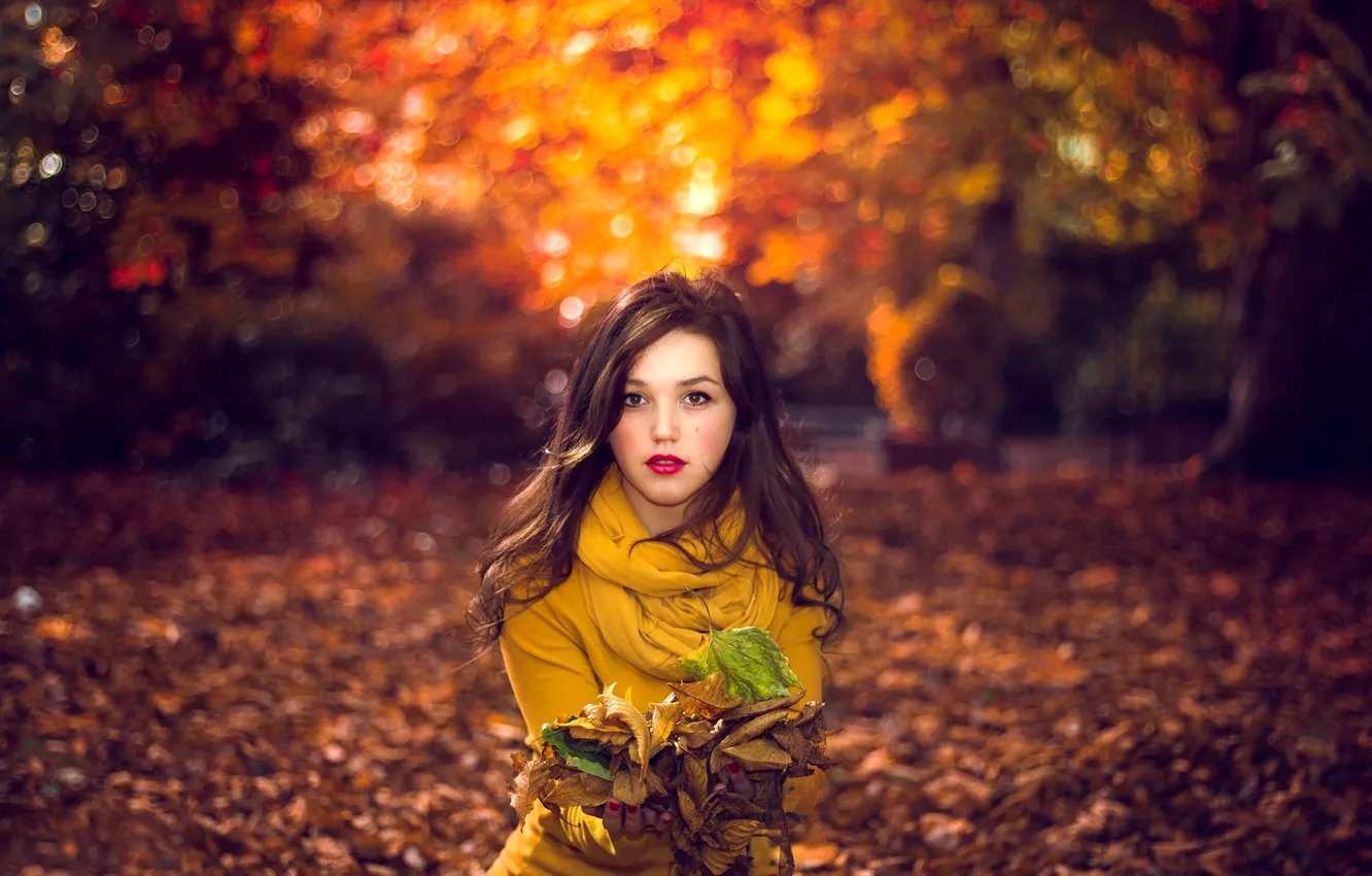 Photo wallpaper leaves, girl, nature, bokeh, portrait of autumn