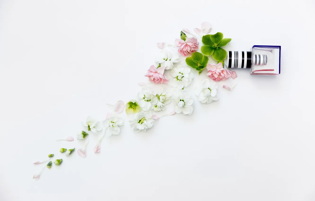 Photo wallpaper flowers, background, bouquet, frame, flowers, lacquer, bundle