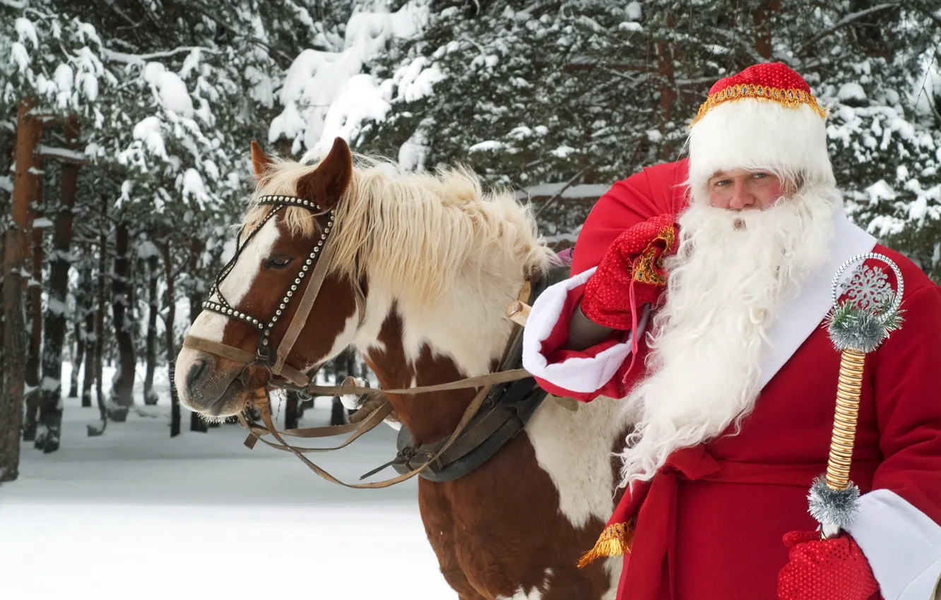 Photo wallpaper winter, holiday, horse, new year, Santa Claus, Veliky Ustyug