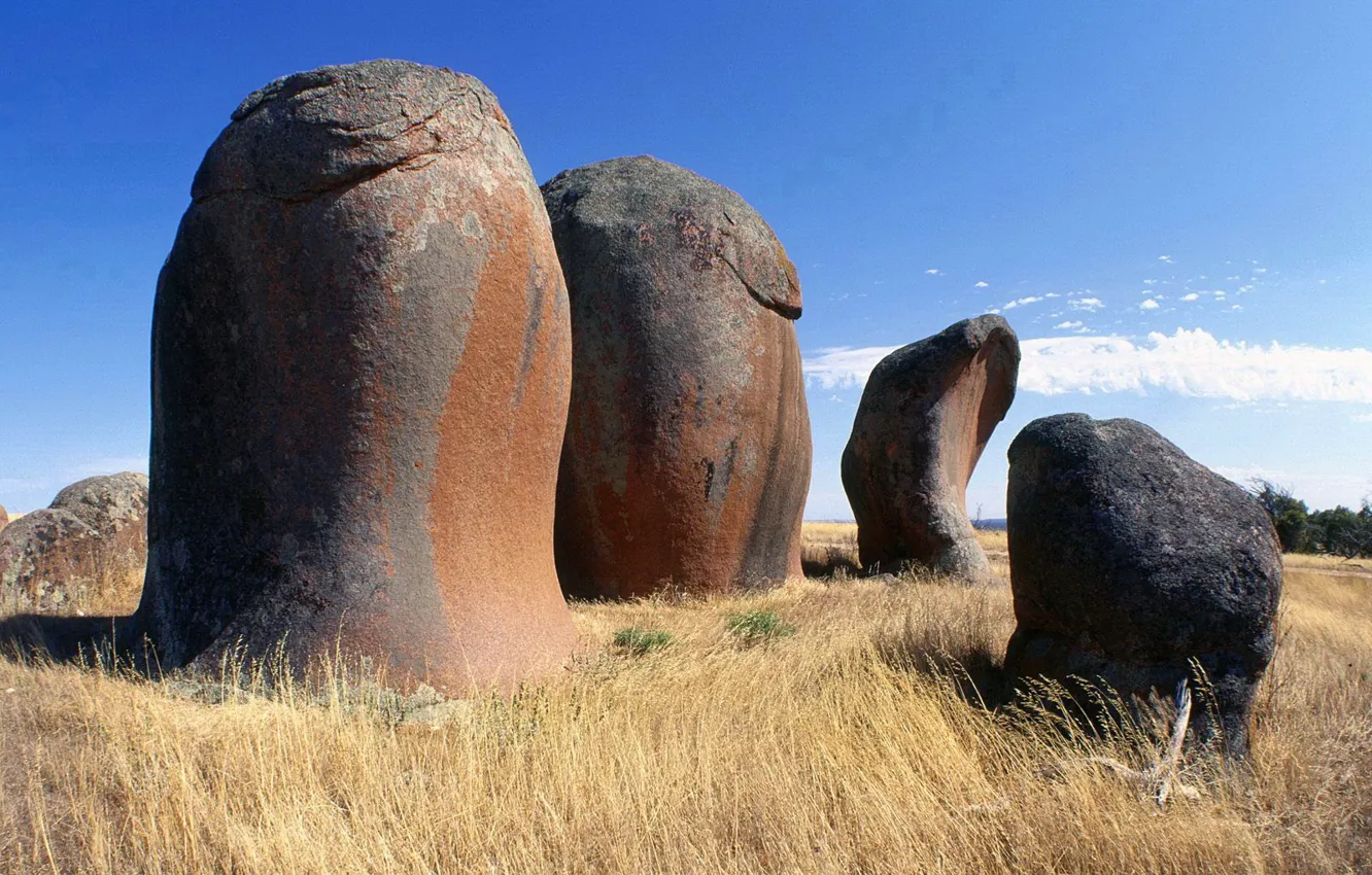 Photo wallpaper the sky, grass, stones