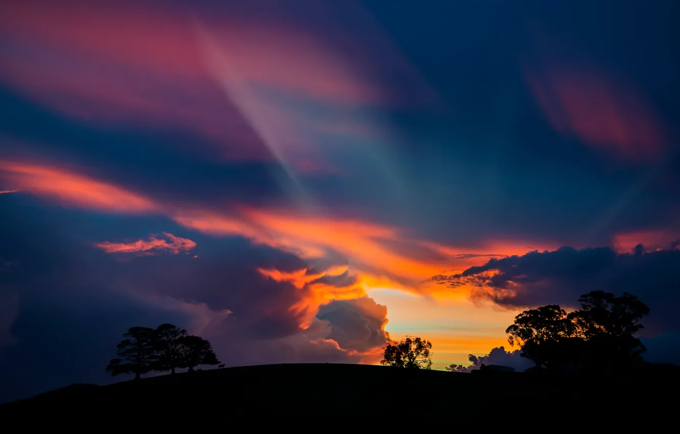 Photo wallpaper the sky, rays, trees, sunset, clouds, silhouette