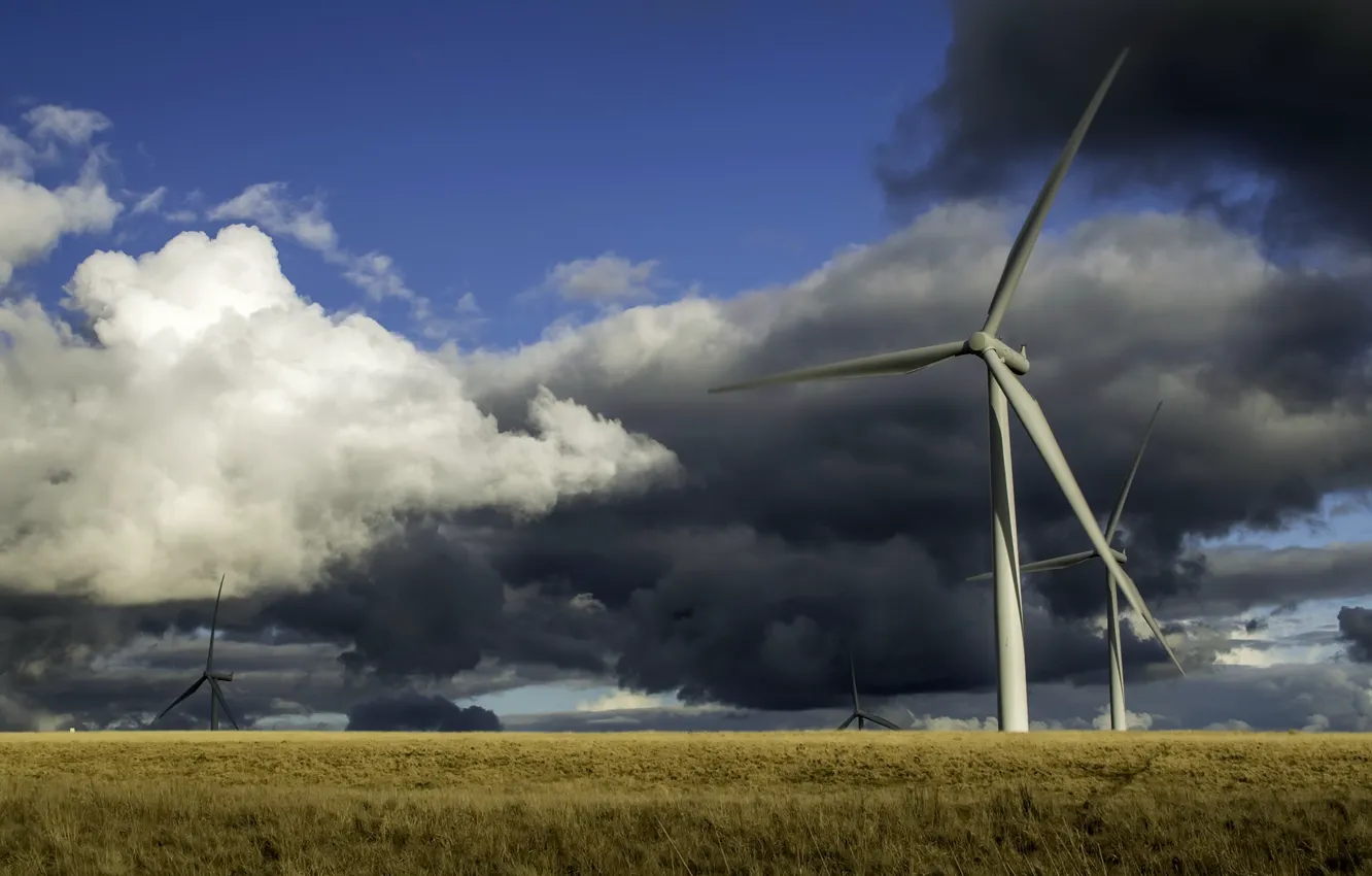 Photo wallpaper field, the sky, windmills