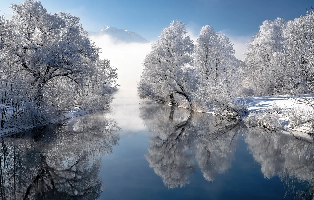 Photo wallpaper winter, forest, trees, nature, reflection, river