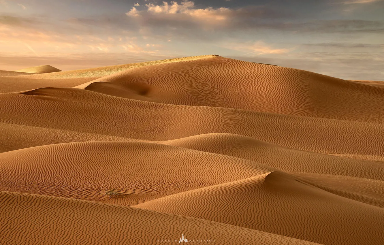 Photo wallpaper sand, landscape, desert, dunes