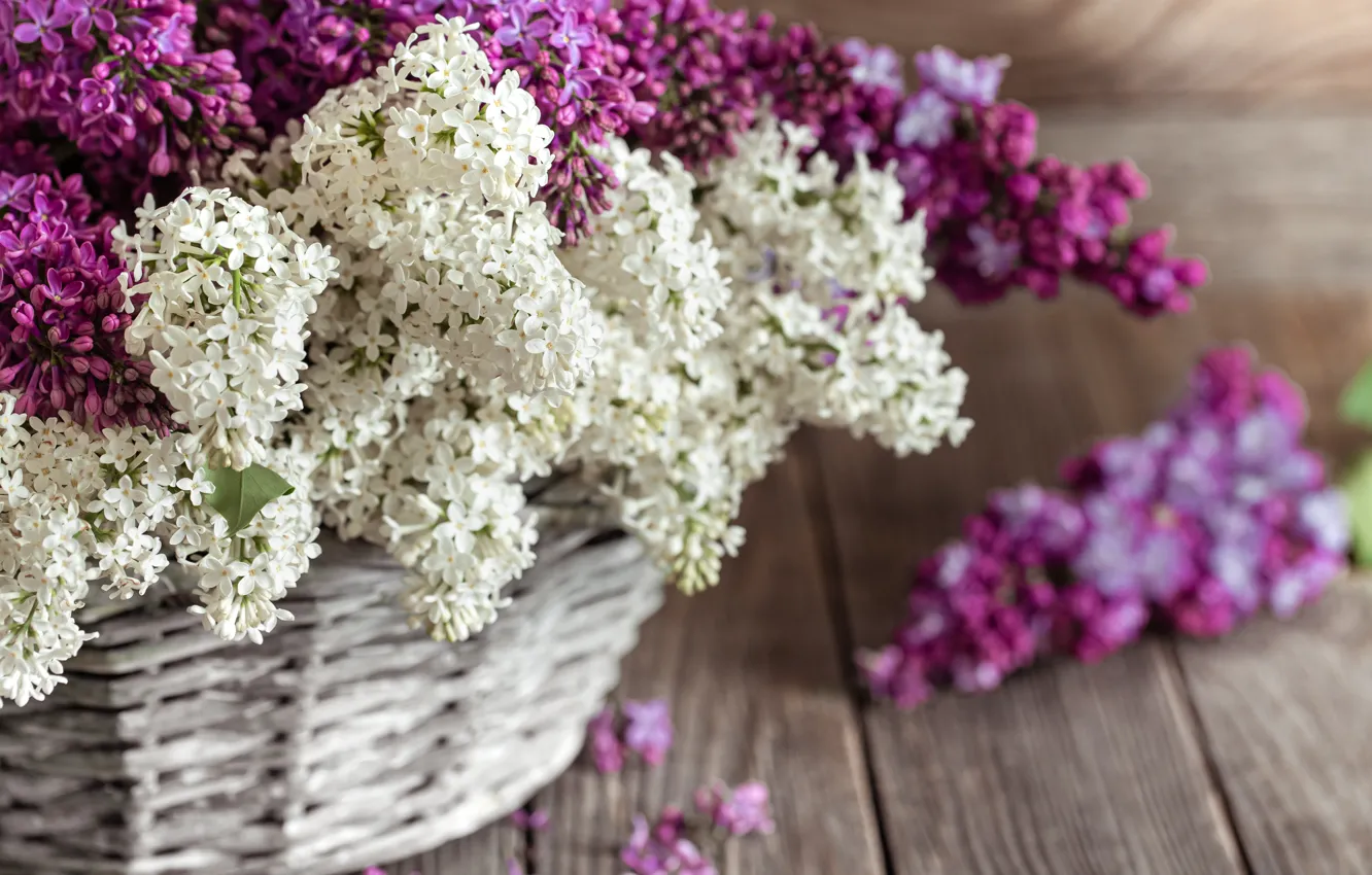 Photo wallpaper white, flowers, Board, bouquet, spring, basket, flowering, lilac