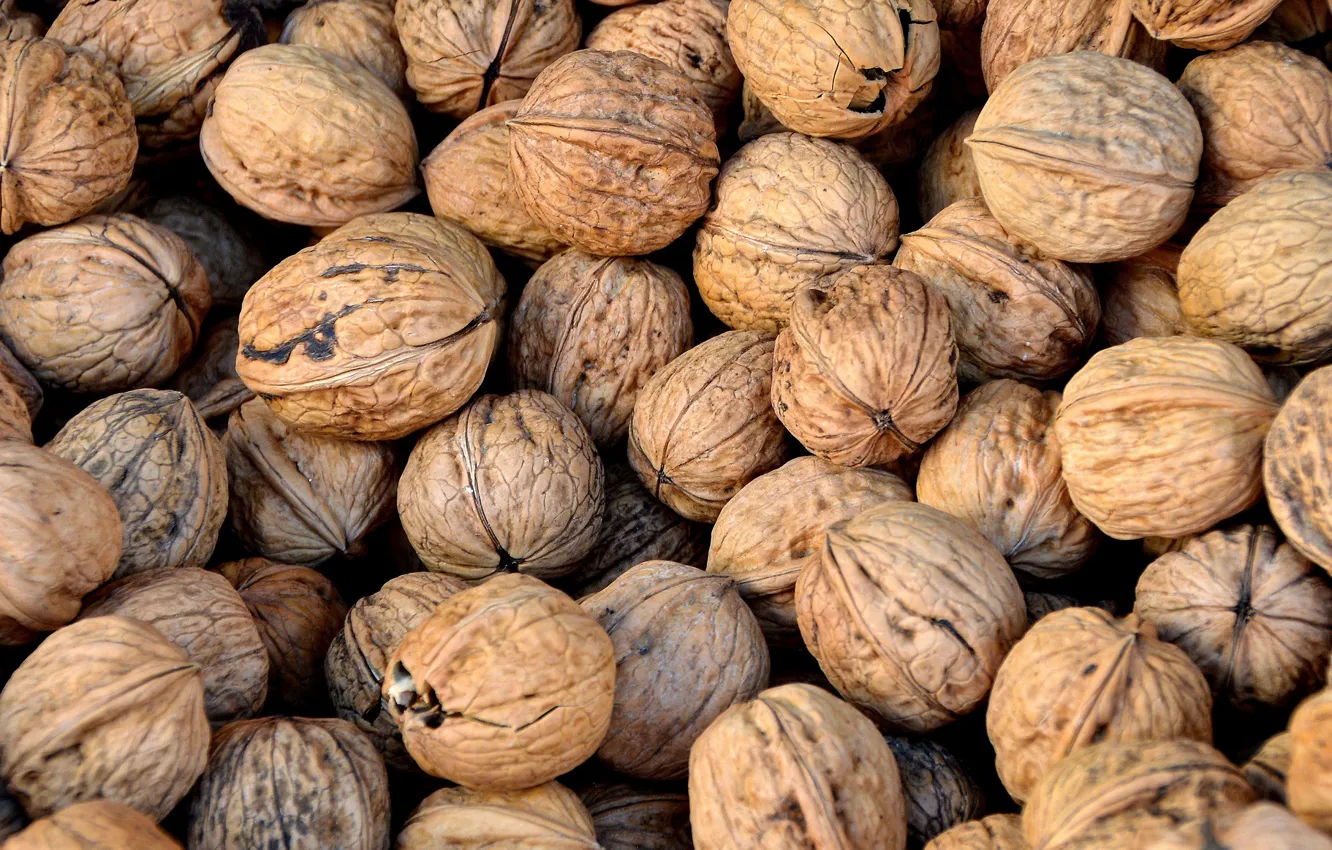 Photo wallpaper food, walnut, agriculture