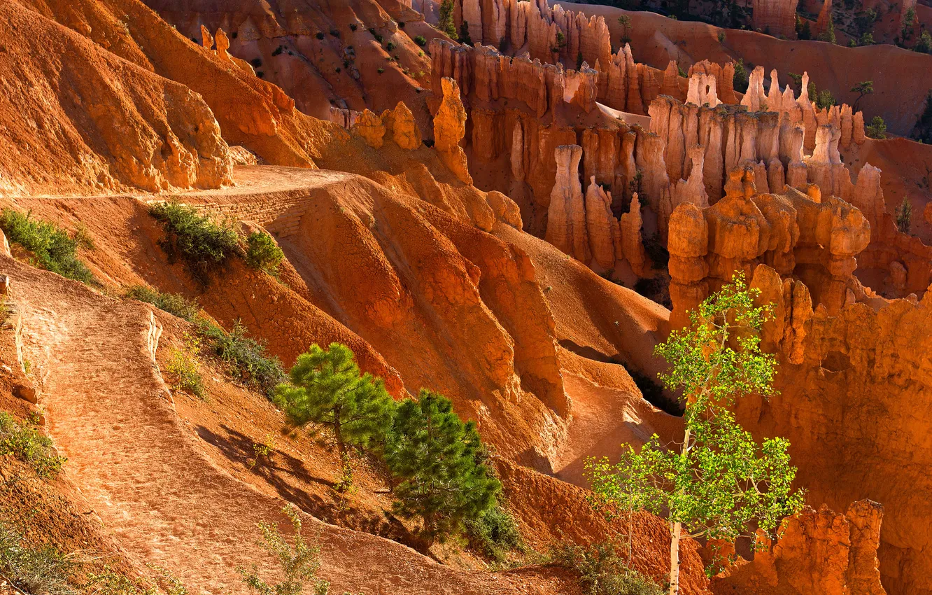 Wallpaper mountains, stones, canyon, rocks, trees for mobile and ...