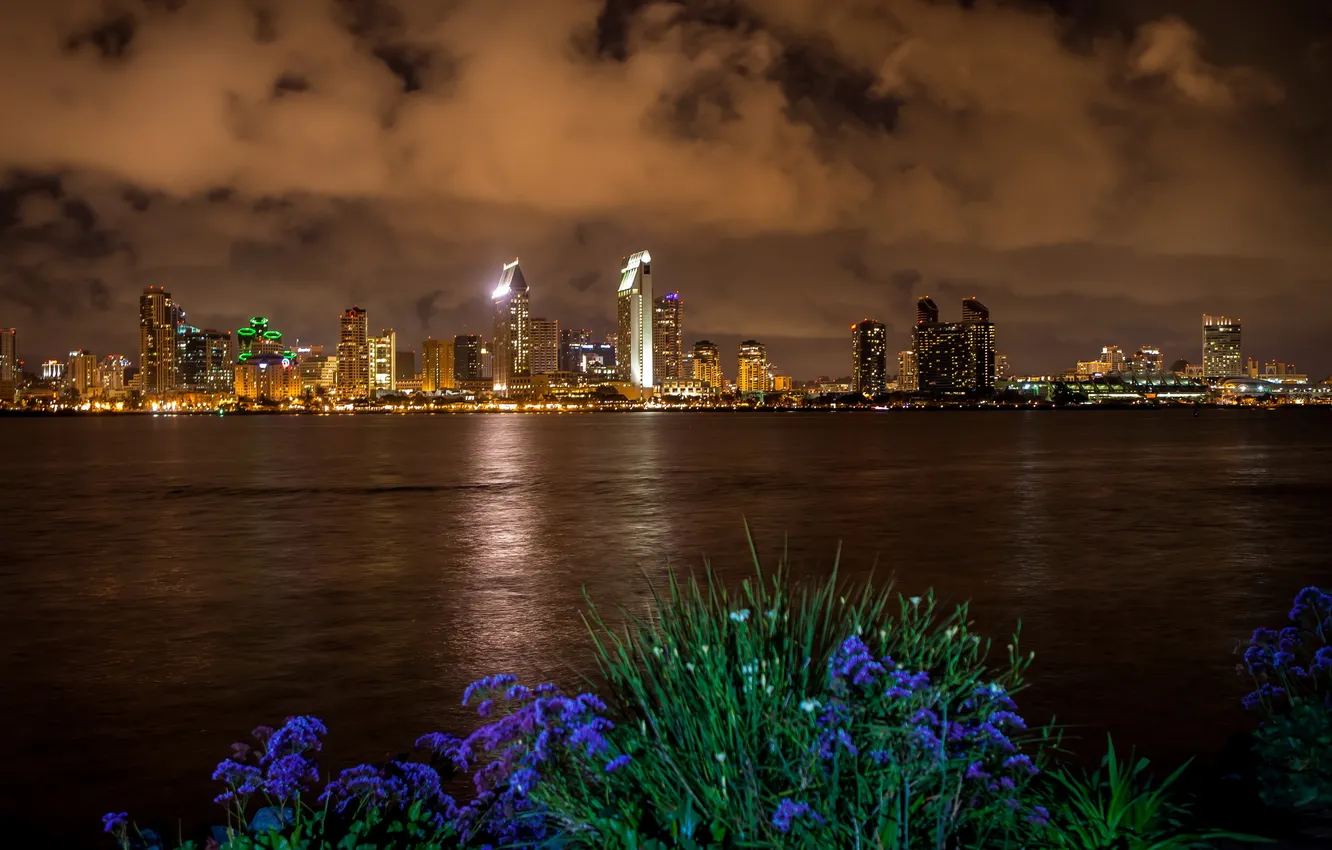 Photo wallpaper night, the city, San Diego