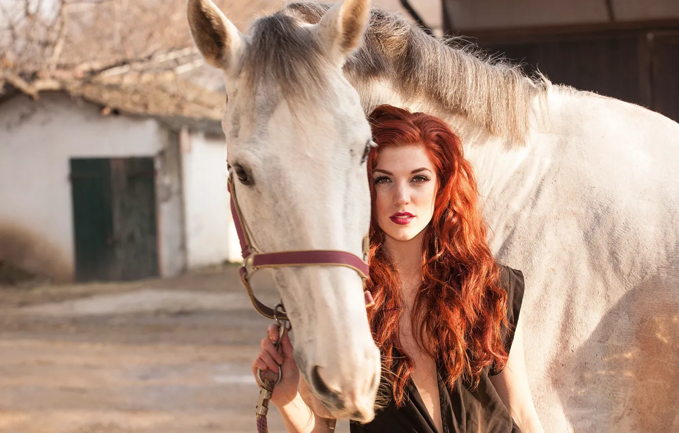 Photo wallpaper look, girl, the sun, model, horse, portrait, makeup, hairstyle