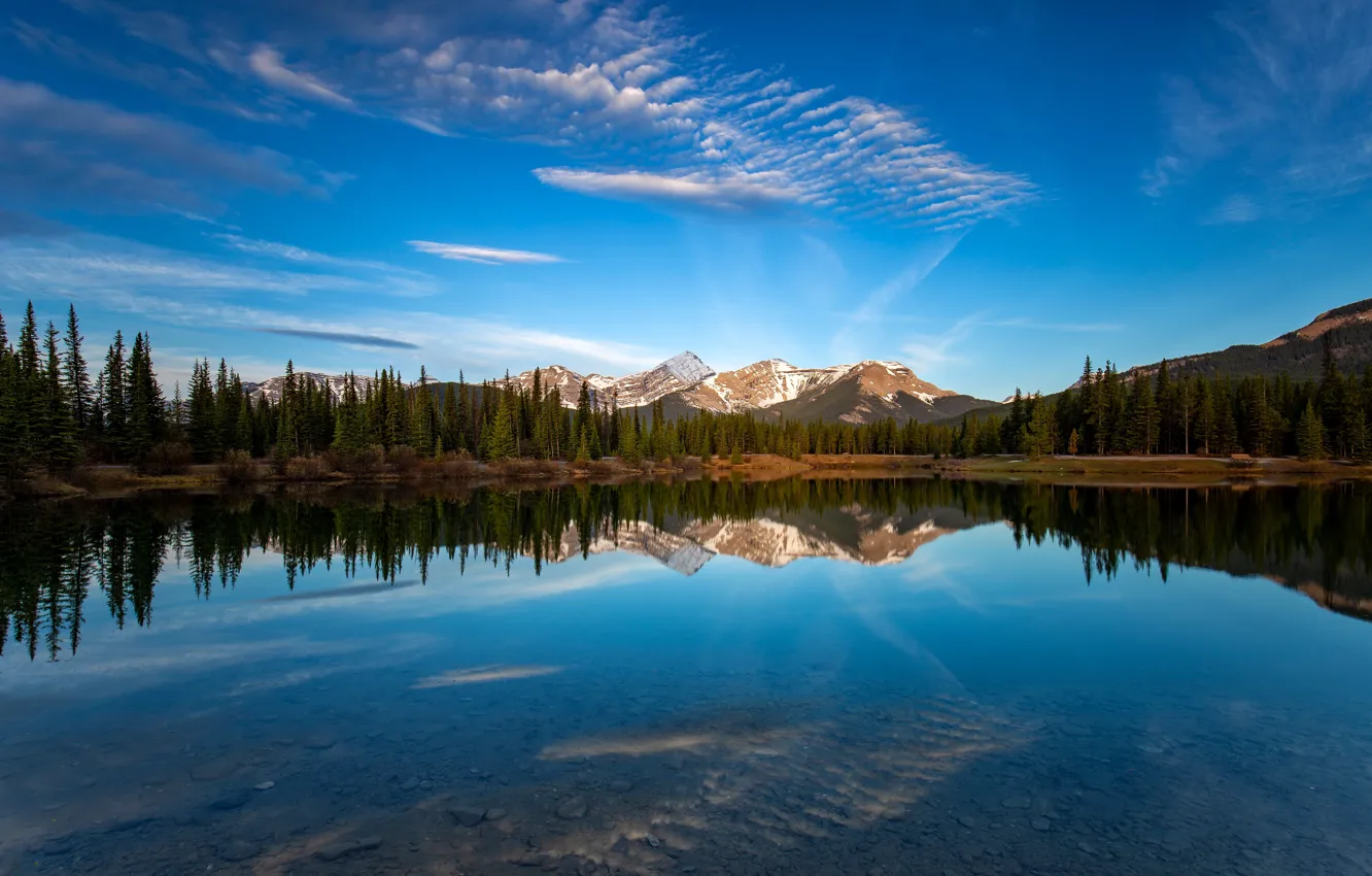 Photo wallpaper forest, the sky, clouds, mountains, reflection, blue, rocks, shore