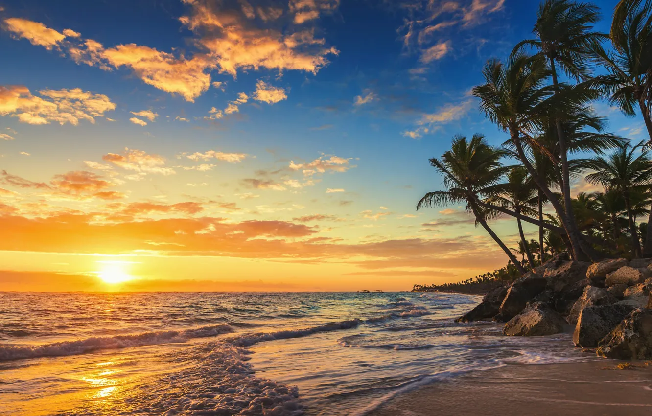 Photo wallpaper sea, beach, the sun, palm trees, the evening