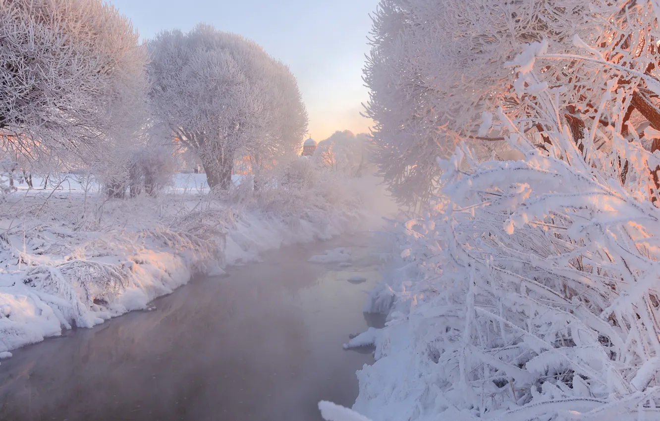 Photo wallpaper winter, frost, snow, trees, Saint Petersburg, Russia, river, Murinsky Park