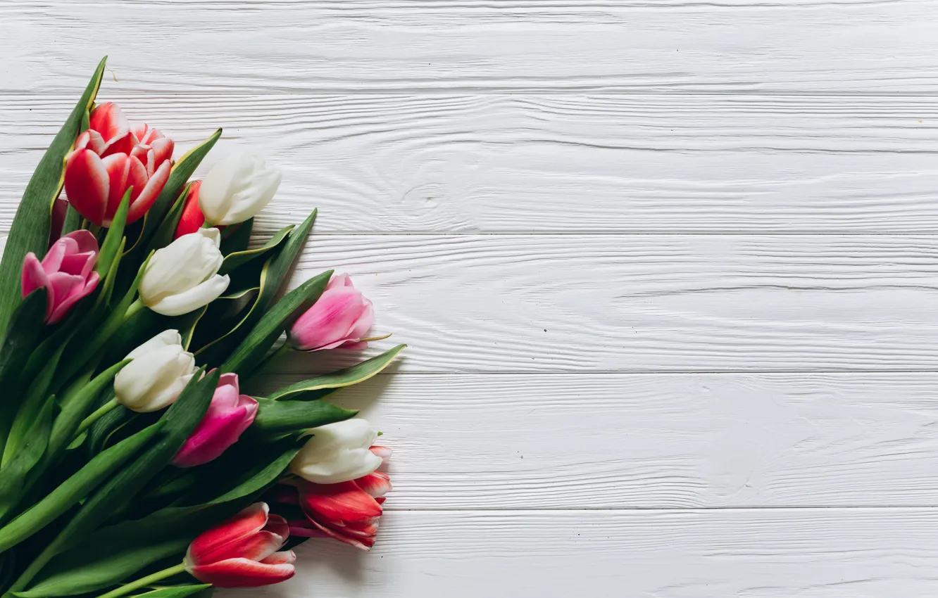 Photo wallpaper flowers, background, bouquet, spring, Tulips