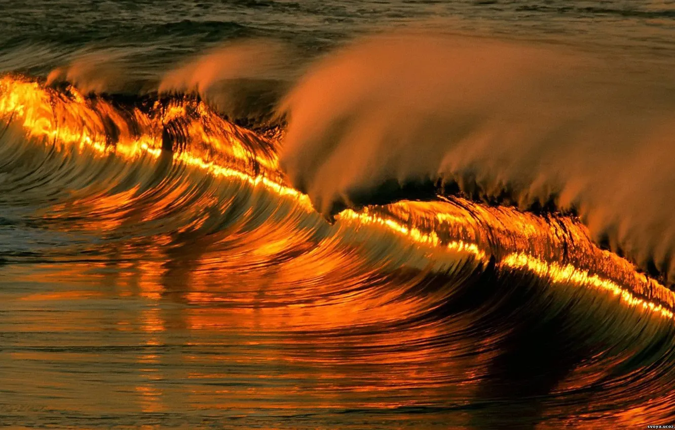 Photo wallpaper wave, the sun, sunset, the ocean, gold, the reflection, tide